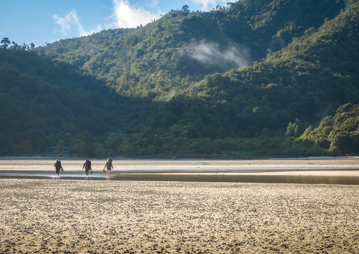 Hikers crossing tropical inlet during early morning, shot in Abel Tasman National Park, New Zealand