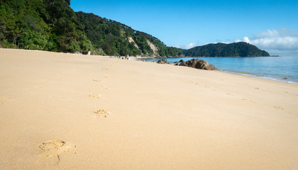 Remote tropical beach with golden sands and footprints leading to horizon, shot in Abel Tasman National Park, New Zealand