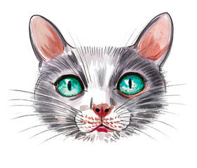 Fototapeta premium Cute cat with green eys. Ink and watercolor drawing