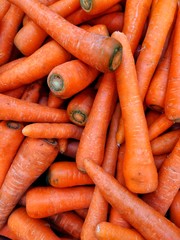 bunch of carrots