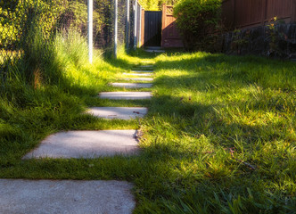 Path through green growing grass leading to rustic door.