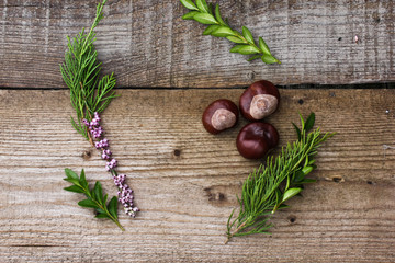 Brown chestnuts whith flowers and green rosmary on a light wood background.