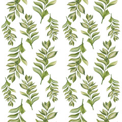 Seamless pattern watercolor hand-drawn green branch succulent zamiokulkas leaves plant isolated on white background art creative natural. Wrapping or textile