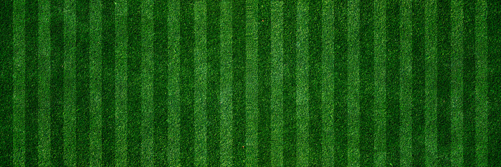 green grass turf as football field texture background