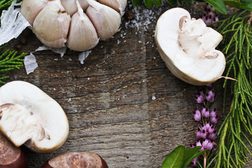 Frame made of garlic,herbs and cut cgampignon.The picture conveys the autumn mood.