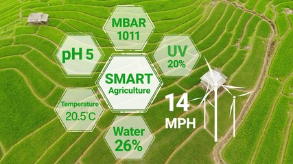 Smart digital agriculture technology by futuristic sensor data collection management by artificial...