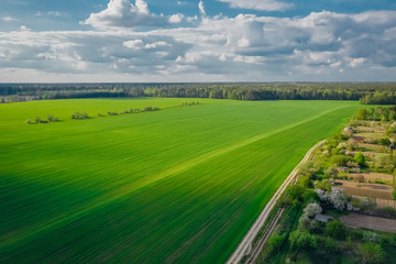 Picturesque green farming fields with beautiful blue sky with clouds and forest on the horizon. Aerial view