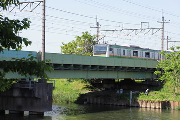 Fototapeta premium 鉄橋を走る電車