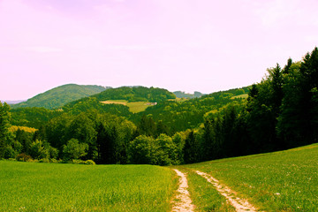 Mountain landscape in the summer