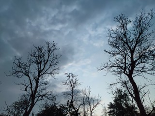 Weather beauty of India In Summer