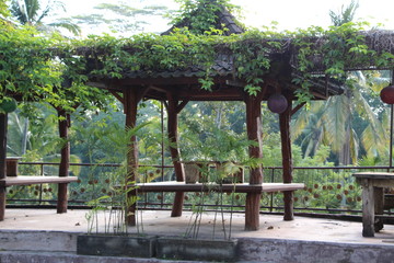 Gazebo on the edge of the slope overlooking the green jungle