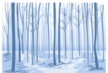 leafless trees in winter for background and illustration