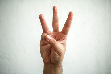 The American Sign Language Alphabet, including some Spanish/Mexican variations