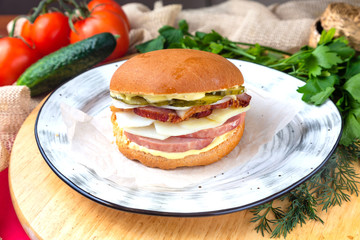 Burger on a plate on the background of vegetables and herbs