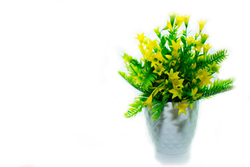 White flower pot white background