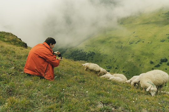 Young man in red windbreaker doing photo of sheeps in Kazbegi, Georgia