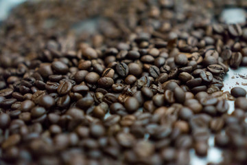 Roasted beans coffee smell like coffee, and weigh less because the moisture has been roasted out. They are crunchy to the bite, ready to be ground and brewed. 