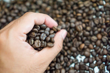 Roasted beans coffee smell like coffee, and weigh less because the moisture has been roasted out. They are crunchy to the bite, ready to be ground and brewed. 