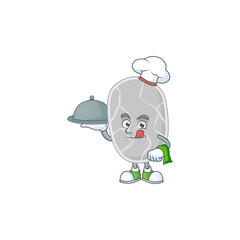 Obraz na płótnie Canvas A nitrospirae chef cartoon mascot design with hat and tray