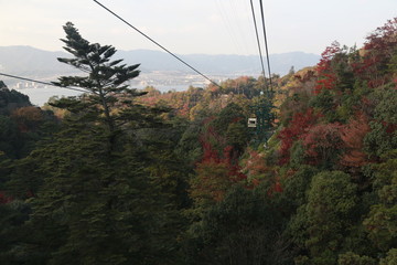 Beautiful Japanese autumn in Miyajima, Miyajimacho