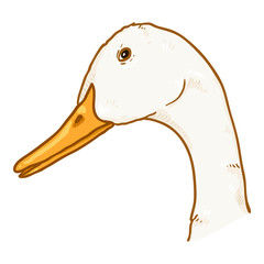 Vector Cartoon Duck Head
