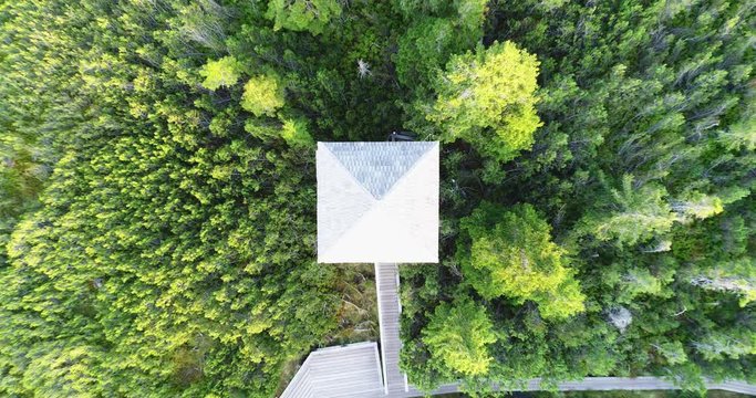 Lush green beauty of Lovrenska woods aerial reveal