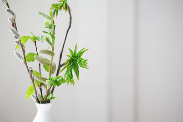 spring leaves and branches in a white vase on a table. fresh and minimal style concept. clean and uncluttered room. scandinavian design. green bouquet close up view