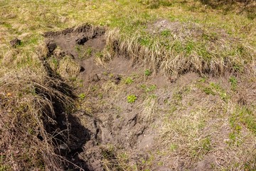 Pit from black diggers at an archaeological site, damage to the cultural layer

