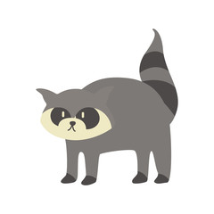 cute raccoon animal vector