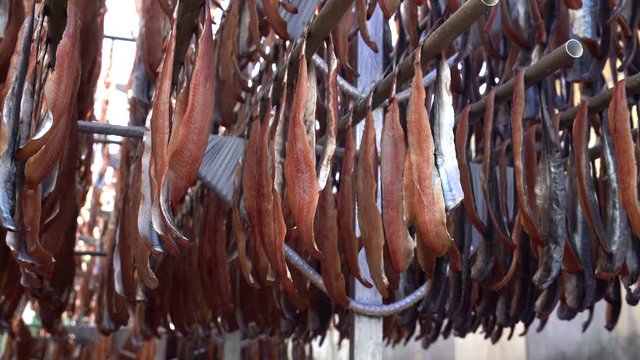 Pohang special product of Korea (Gwamegi) (dried Saury). Guryongpo is the most famous for this product.