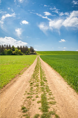 Dirt road between green fields and blue sky