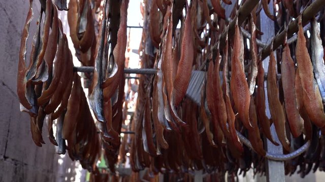 Pohang special product of Korea (Gwamegi) (dried Saury). Guryongpo is the most famous for this product.