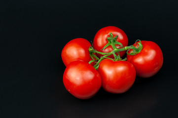 red vine tomatoes lying on a dark background