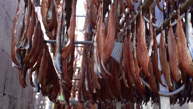 Pohang special product of Korea (Gwamegi) (dried Saury). Guryongpo is the most famous for this product.