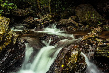 waterfall cover with green lush forest long exposure flat angle image