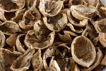 Texture, empty shell from a walnut.