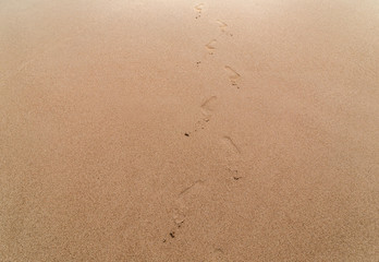 Fototapeta na wymiar Footprints of human feet on the sand footstep