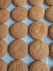 Ginger Nut Cookies on baking tray