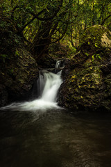 Fototapeta na wymiar waterfall cover with green lush forest long exposure flat angle image