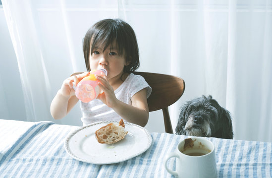 朝ごはん ピンクレモネードを飲む女の子とペットの犬 