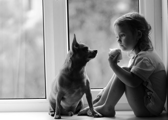 
girl, dog, window, friendship, love, photo, portrait
