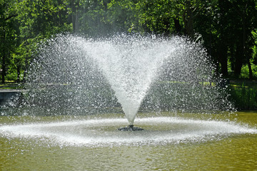 Fountain in the park woods in spring time