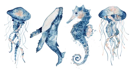 Foto auf Alu-Dibond Set of sea animals. Blue watercolor ocean fish, Medusa, whale, seahorse © EvgeniiasArt