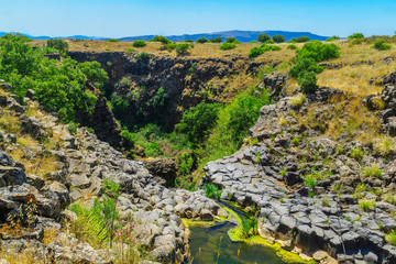 Zavitan Stream, in Yehudiya Forest Nature Reserve