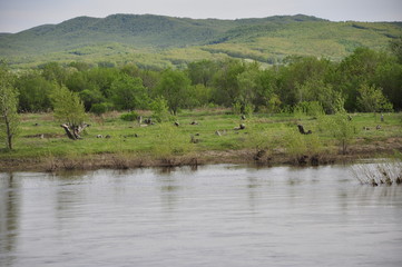 Fototapeta premium Весна пришла!