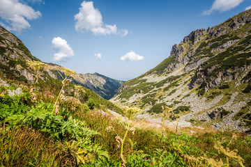 Beautiful mountain scenery in a sunny summer day. Rila mountain, Bulgaria. Hiking/ trekking concept.