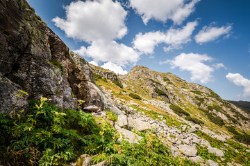 Beautiful mountain scenery in a sunny summer day. Rila mountain, Bulgaria. Hiking/ trekking concept.
