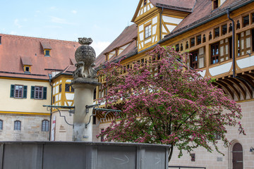 Fototapeta na wymiar Schloss Hohentübingen Tübingen Schloss Baum Architektur