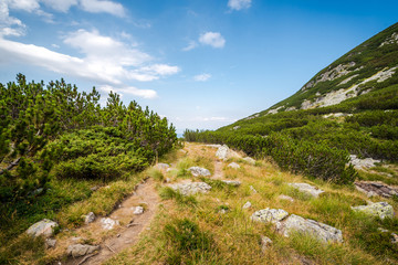 Beautiful mountain scenery in a sunny summer day. Rila mountain, Bulgaria. Hiking/ trekking concept.