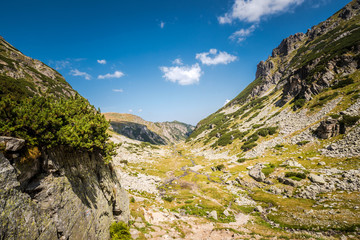 Fototapeta na wymiar Beautiful mountain scenery in a sunny summer day. Rila mountain, Bulgaria. Hiking/ trekking concept.